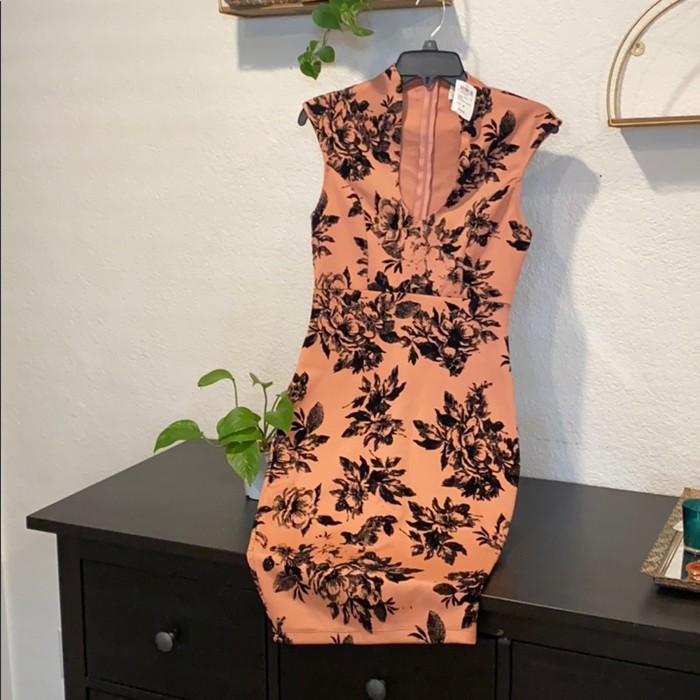 Peach and Velvet Dress